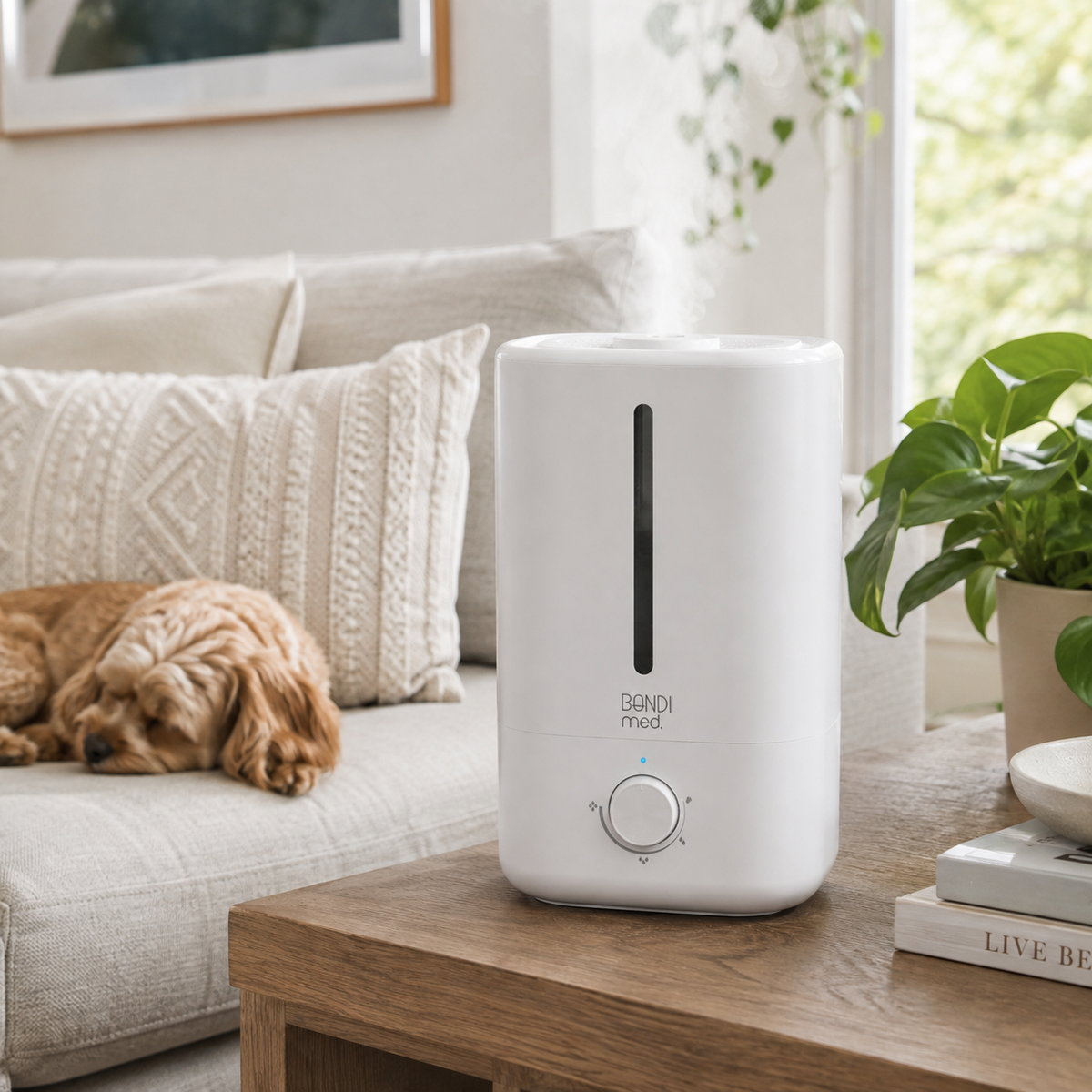 Ultrasonic Cool Mist Humidifier 4.5L